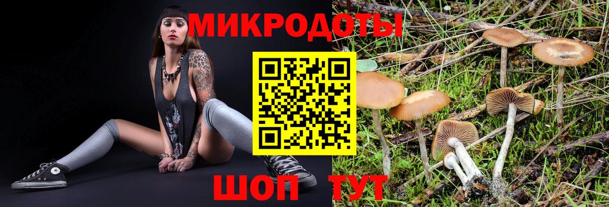 Галлюциногенные грибы мицелий  Галлюциногенные грибы Cubensis  Вход с VPN  Новоалександровск 